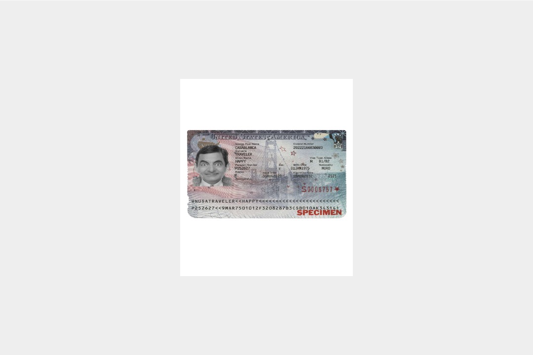 USA VISA