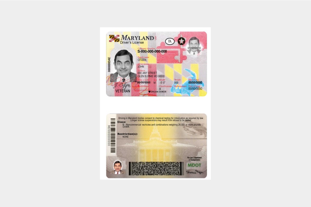 Maryland Driver's License