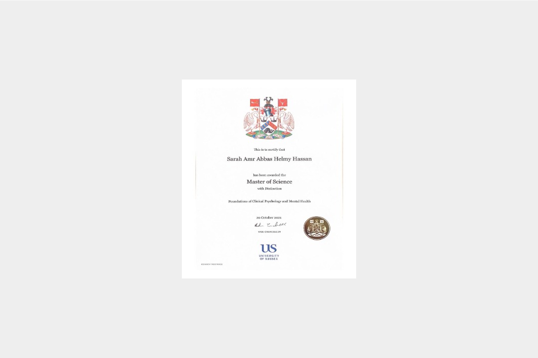 University of Sussex degree